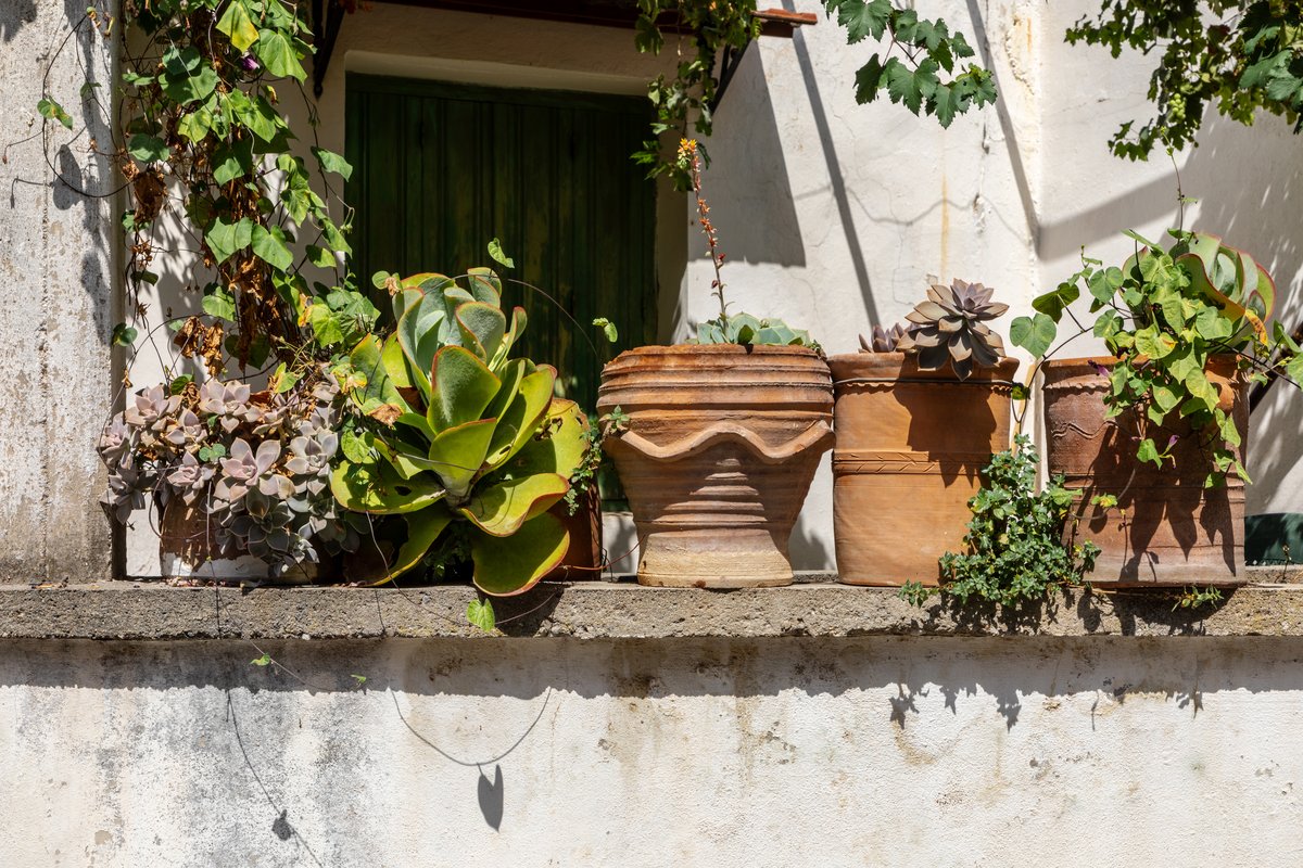 Distintos tamaños y tipos de macetas de terracota apiladas para comparar antes de comprar