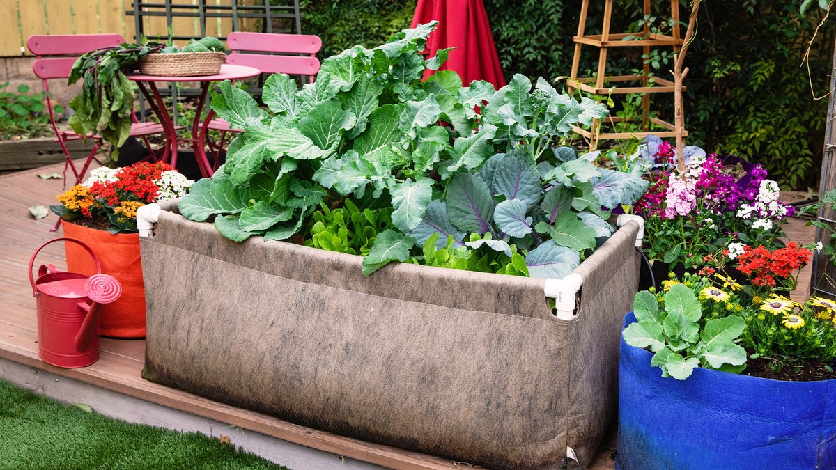 Huerto urbano en macetas y jardineras de gran tamaño sobre una terraza