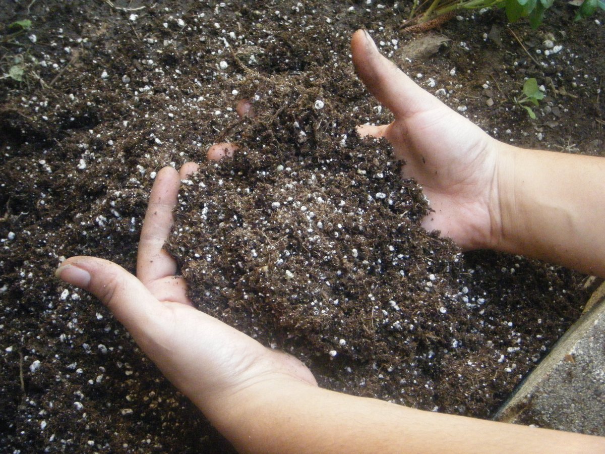Manos removiendo tierra oscura y rica en materia orgánica