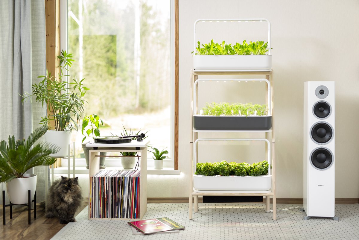 Sistema de cultivo vertical con varias plantas de hoja creciendo en hileras